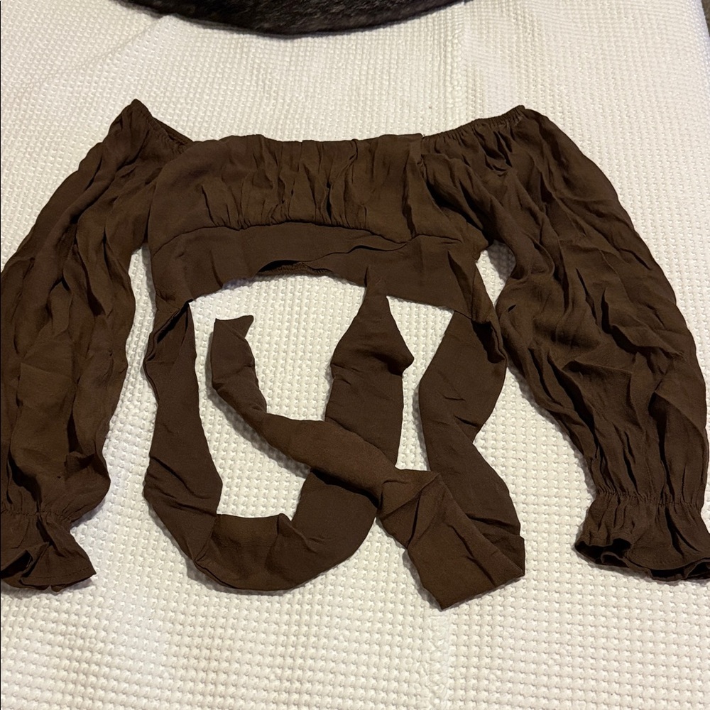 Brown Off-Shoulder Blouse with Long Sleeves